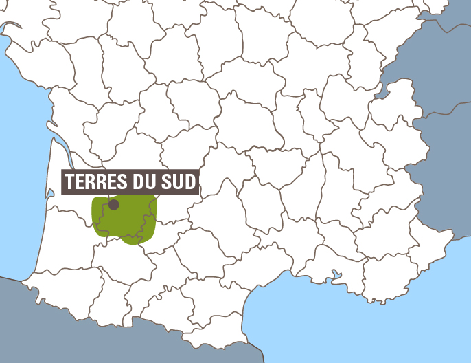 Carte coopÃ©rative Terre du Sud - Pur jus de tomate de marmande
